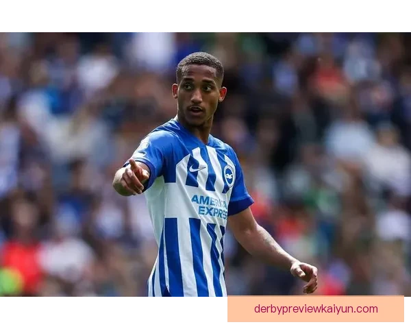 布伦特福德战术解析：数据分析揭示球队持续提升的竞争力与表现表现稳健